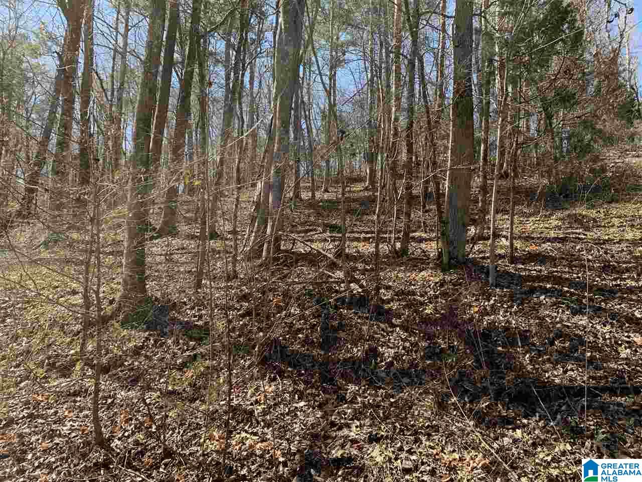 201 Barclay Road, Unit 115 AC Talladega, AL 35160 - Photo 11 of 30