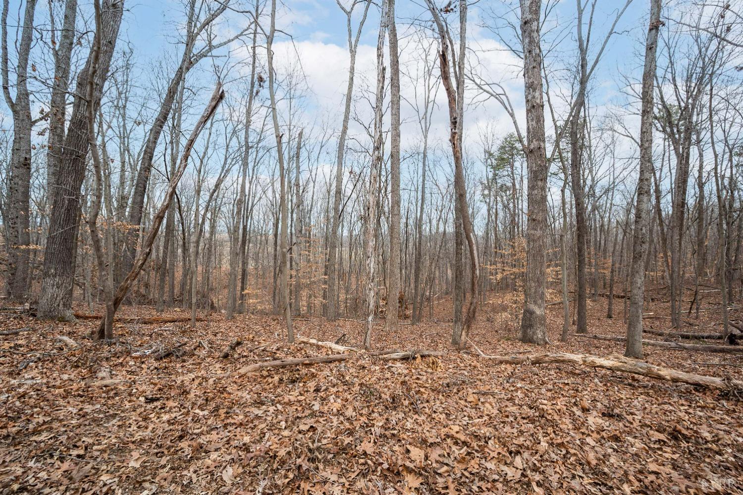 0 Suburban Road Lynchburg, VA 24501 - Photo 4 of 9 a view of wooden fence