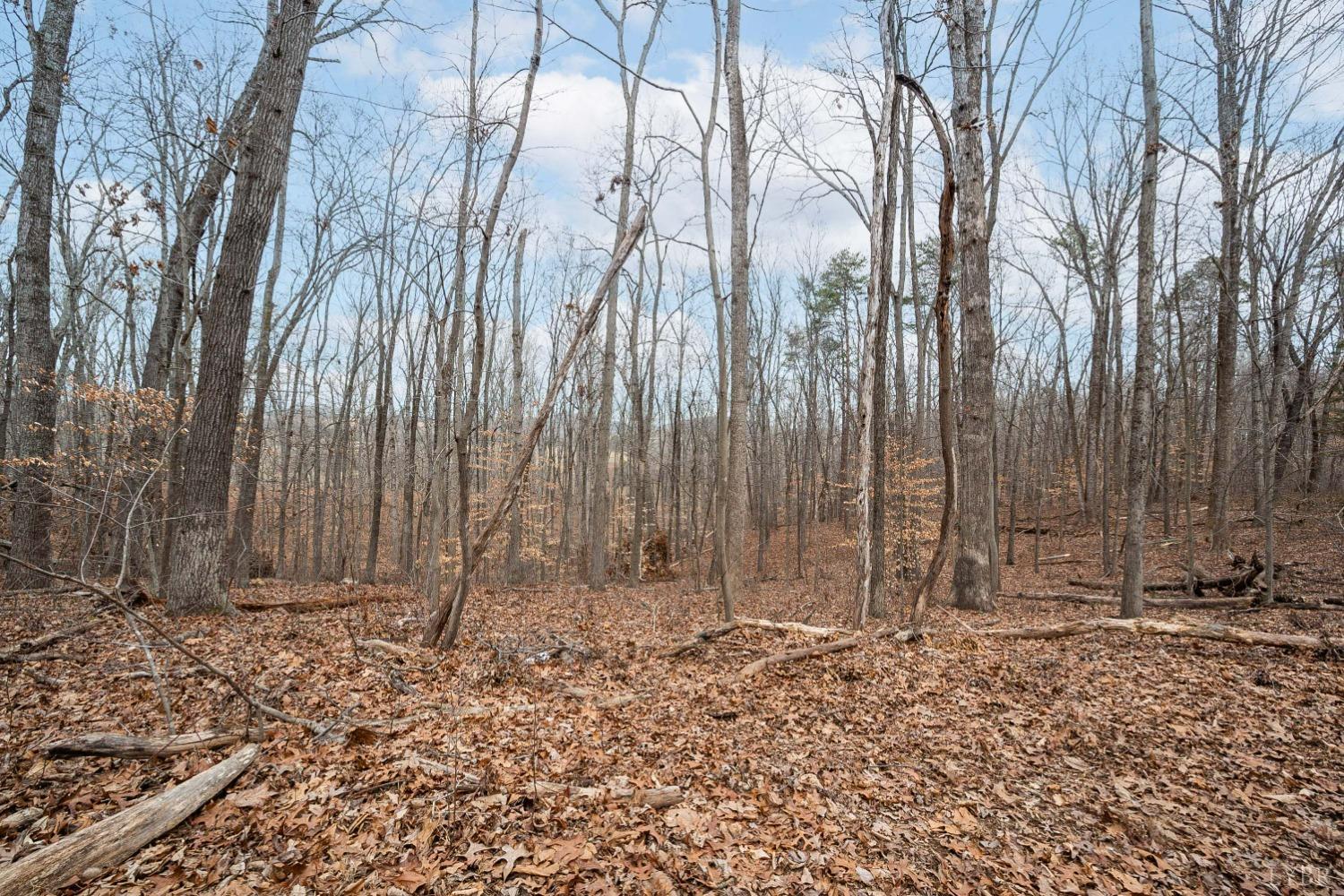 0 Suburban Road Lynchburg, VA 24501 - Photo 5 of 9 a view of a backyard with large trees and wooden fence