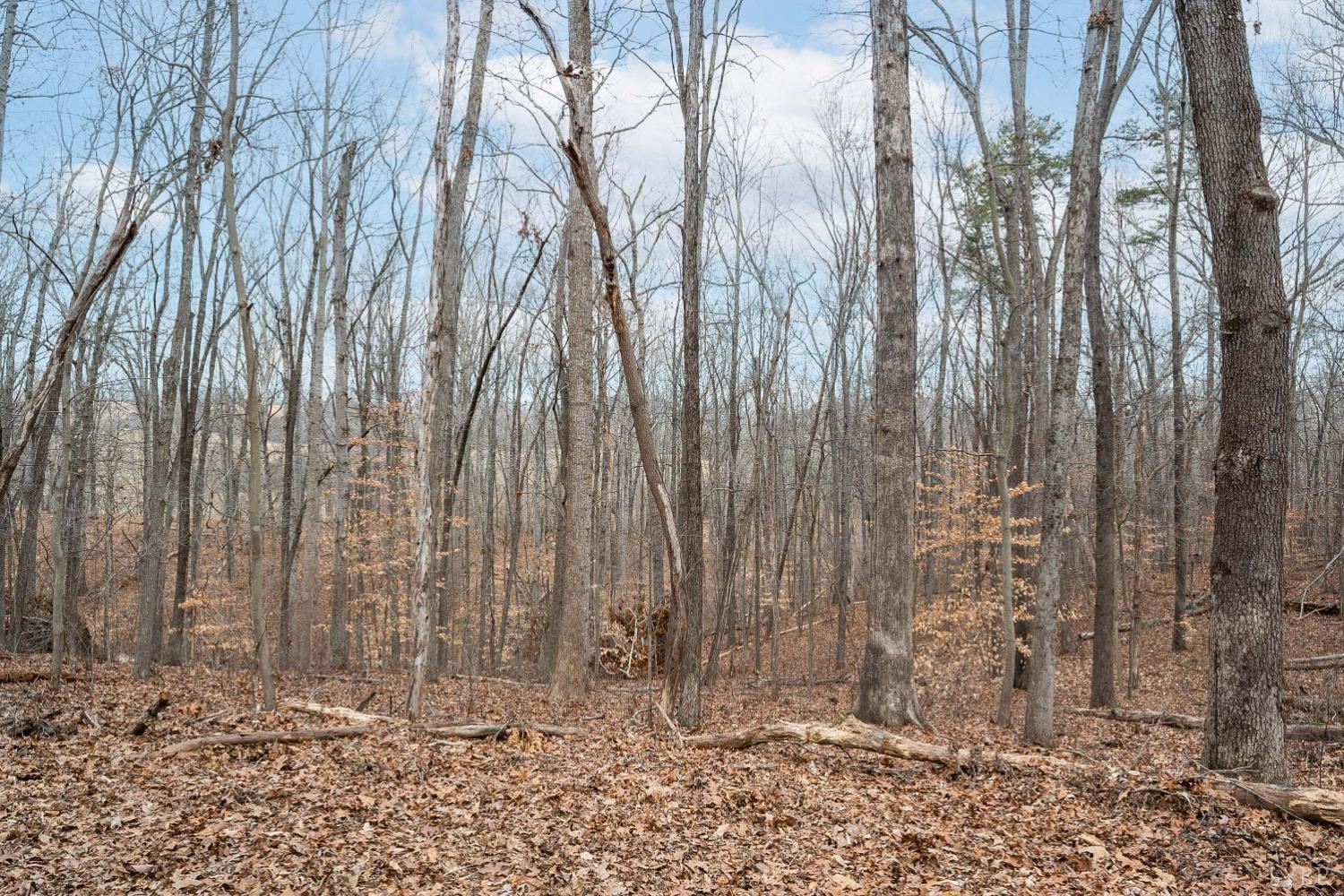 0 Suburban Road Lynchburg, VA 24501 - Photo 6 of 9 a view of wooden fence with trees