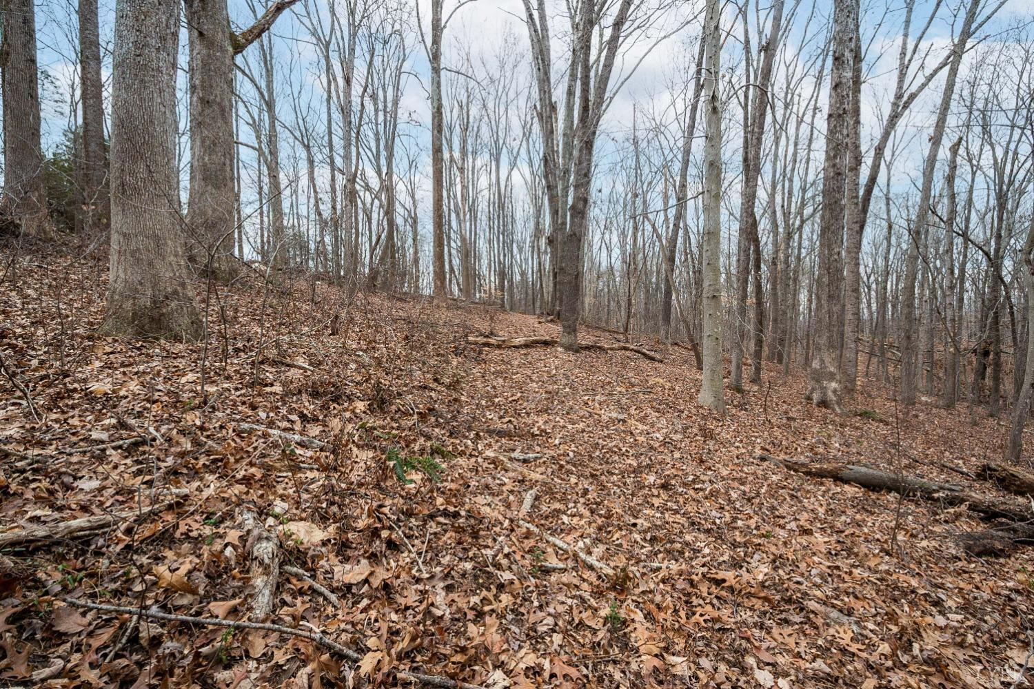 0 Suburban Road Lynchburg, VA 24501 - Photo 8 of 9 a view of a backyard