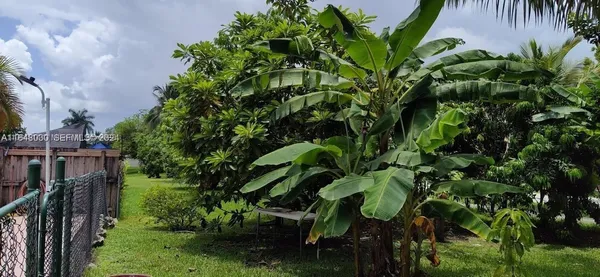 a view of a garden