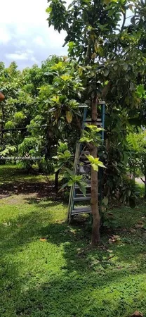 an outdoor space with lots of green space