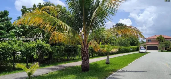 a view of a yard in front of a house