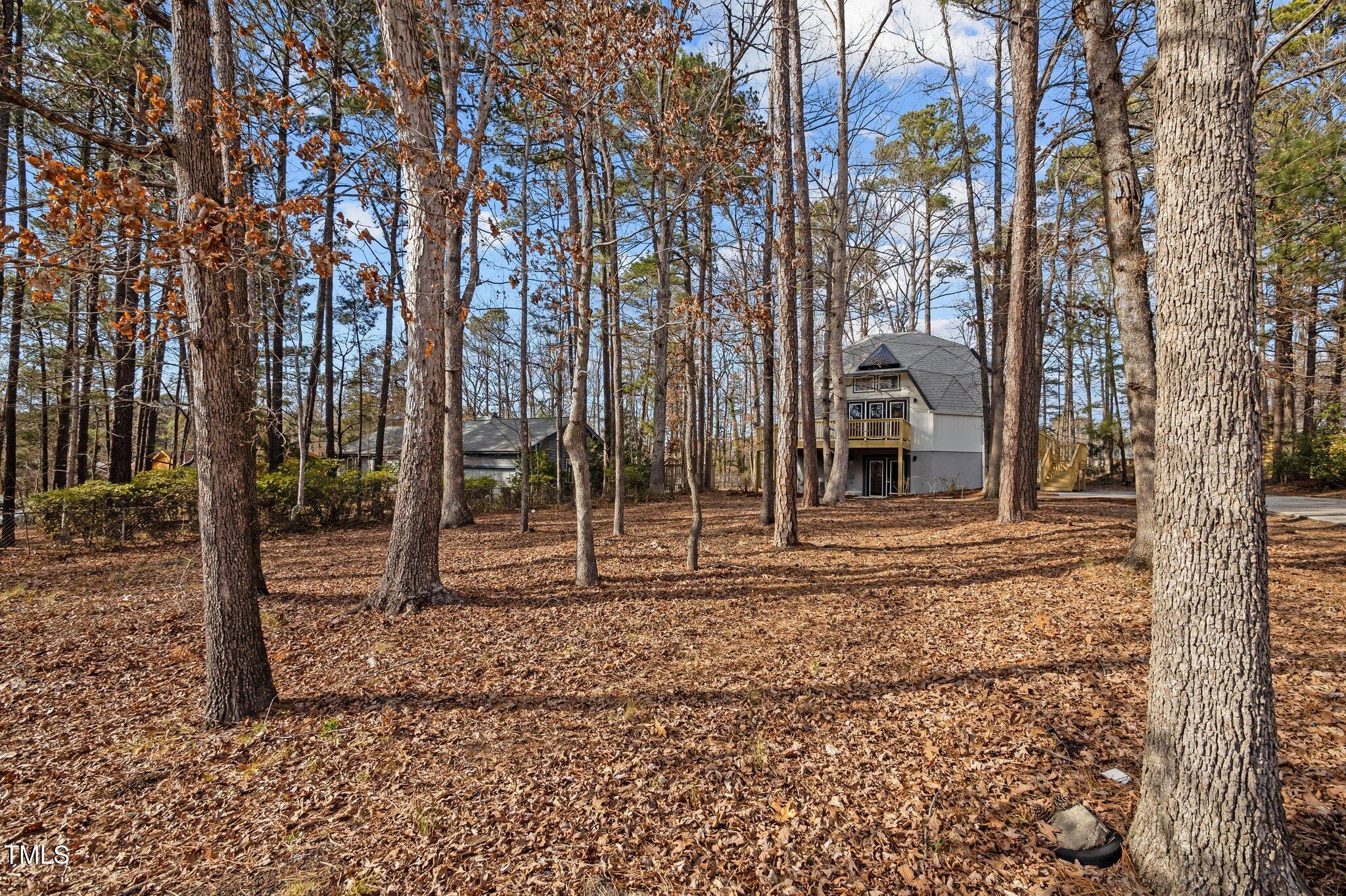419 Obie Drive Durham, NC 27713 - Photo 30 of 33 a backyard of a house with lots of green space