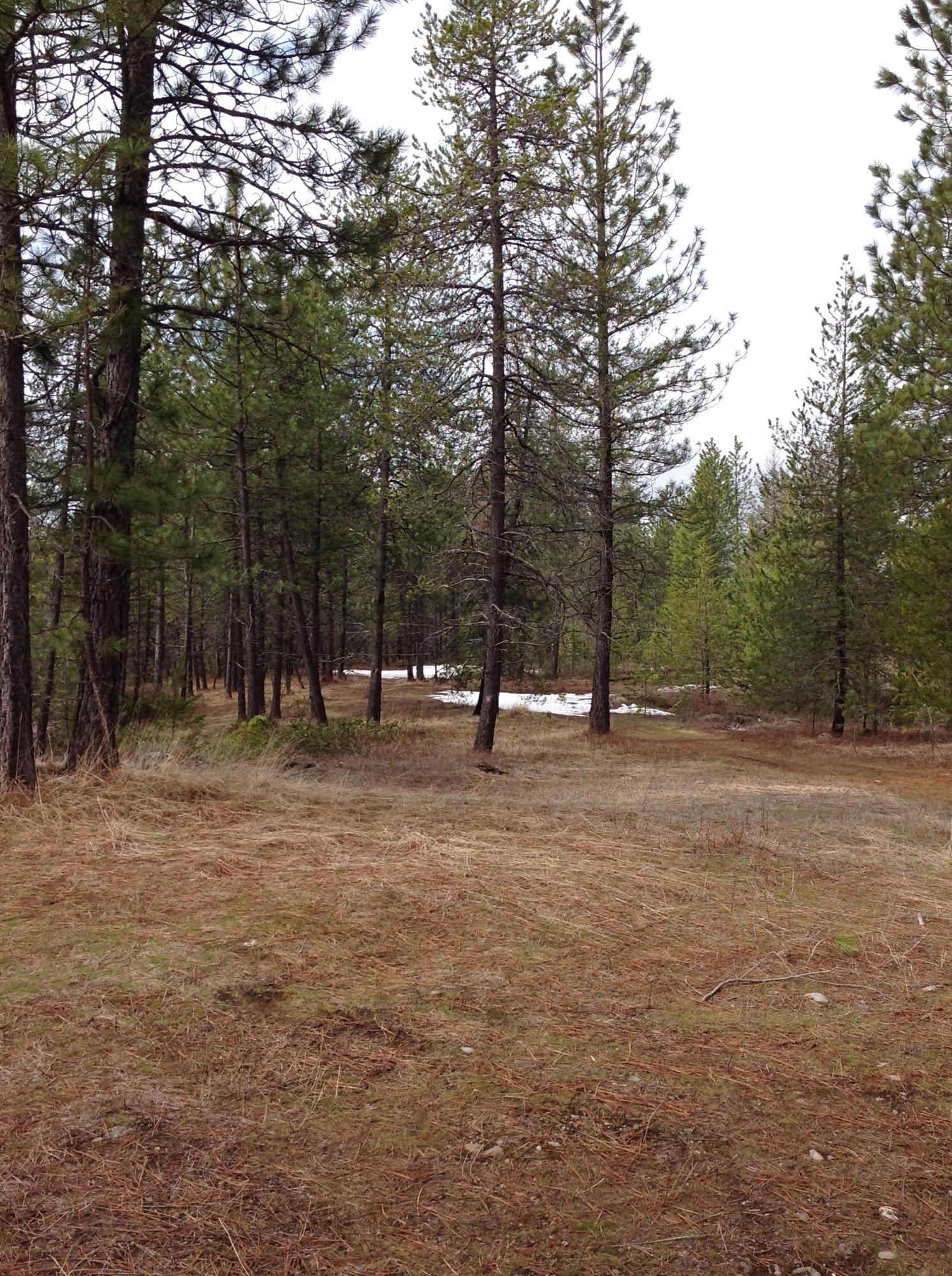 Nka North Nka N Ramsey Road Athol, ID 83801 - Photo 1 of 1 Lot 1