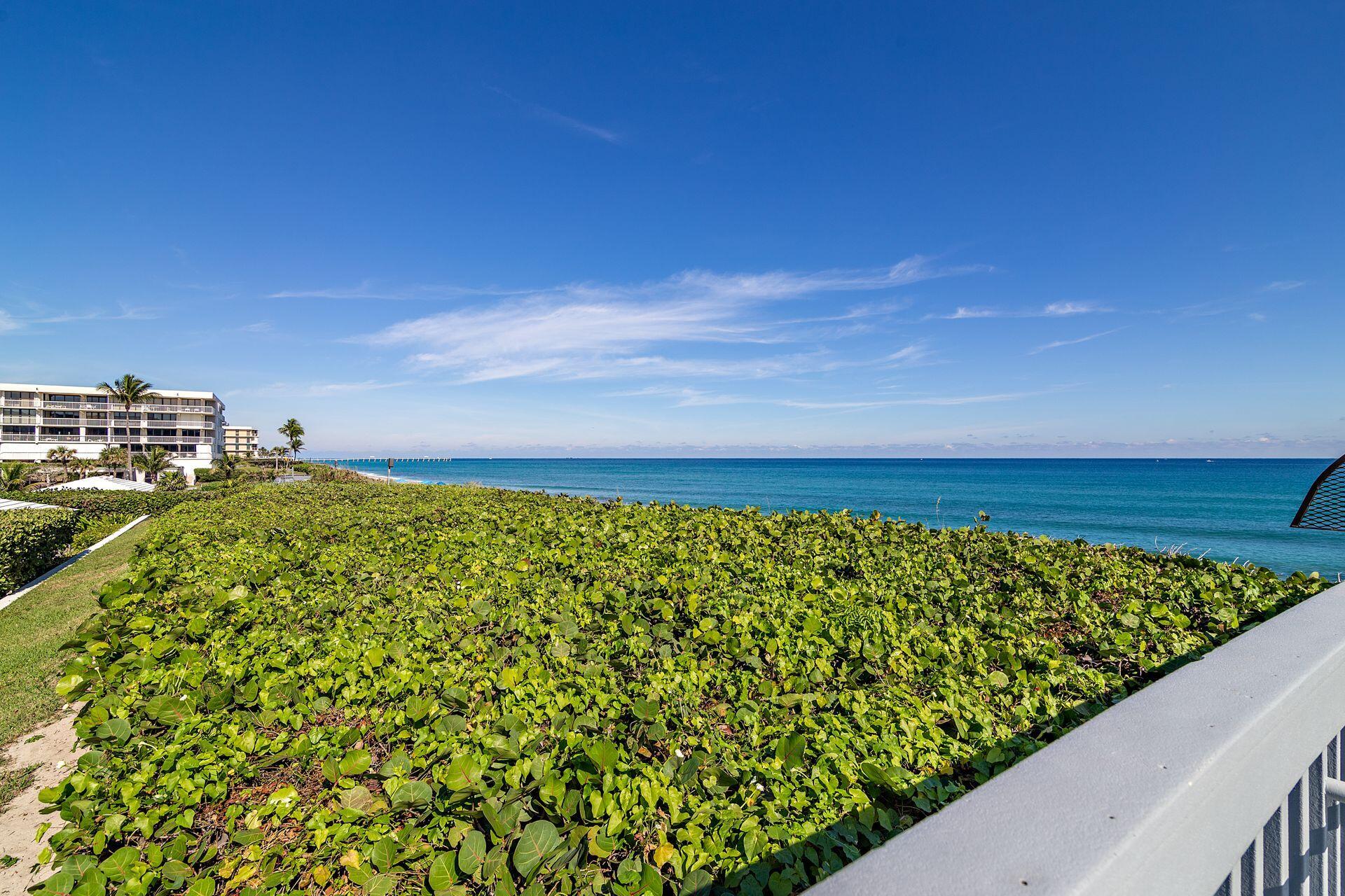 3300 South Ocean Boulevard, Unit 306N Palm Beach, FL 33480 - Photo 23 of 35 Direct Ocean/Beach Access