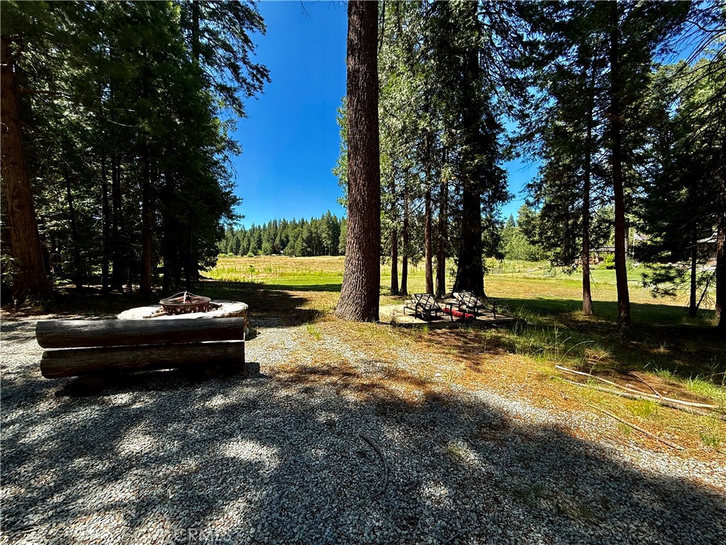 9312 Mountain Meadow Road Shingletown, CA 96088 - Photo 40 of 44 a view of a park with large trees