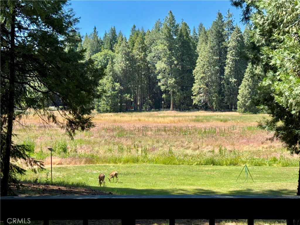 9312 Mountain Meadow Road Shingletown, CA 96088 - Photo 41 of 44 a view of a yard with an outdoor space