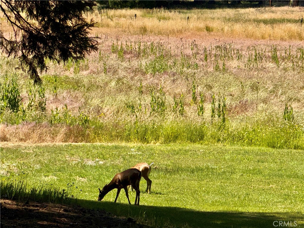 9312 Mountain Meadow Road Shingletown, CA 96088 - Photo 42 of 44
