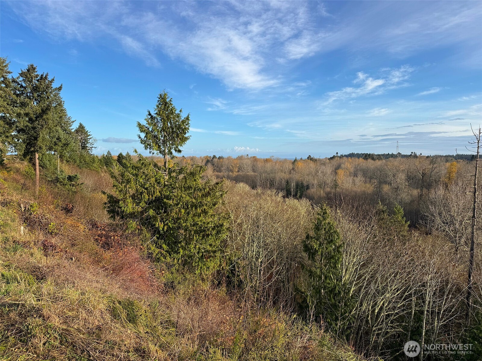 714 Hunt Road Port Angeles, WA 98363 - Photo 12 of 40 a view of a lake with a mountain in the background