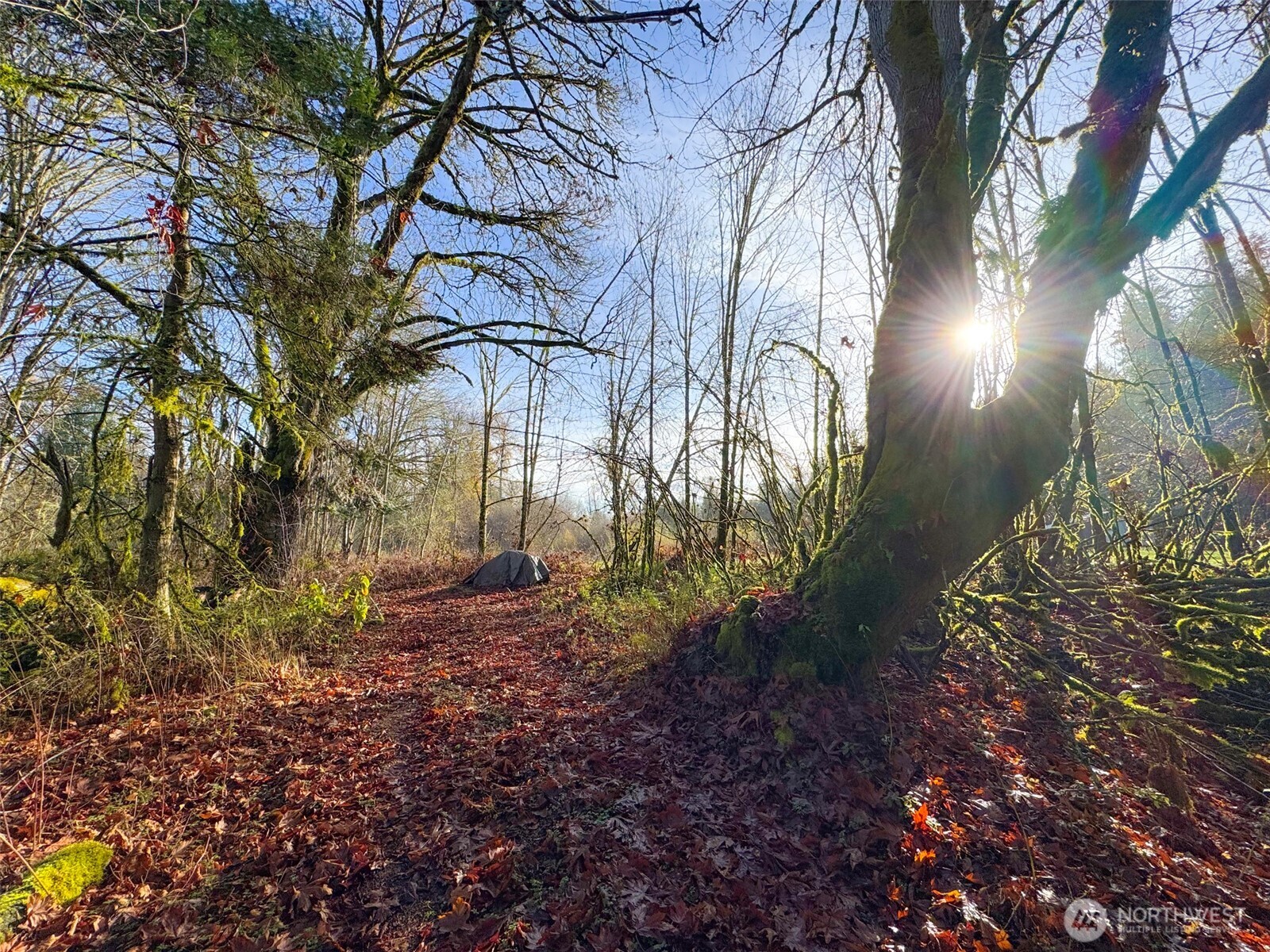 714 Hunt Road Port Angeles, WA 98363 - Photo 19 of 40 a backyard of a house with lots of green space