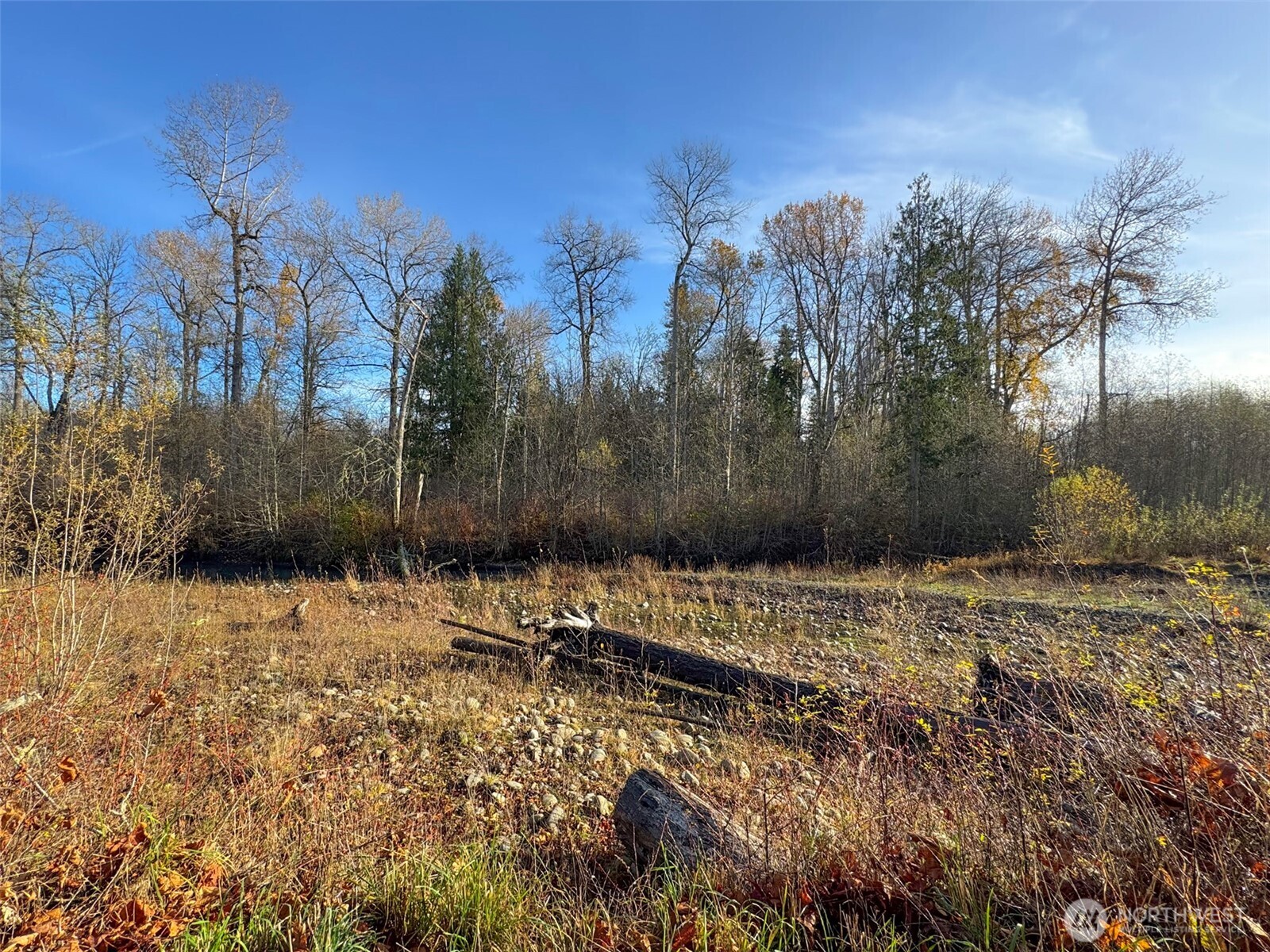 714 Hunt Road Port Angeles, WA 98363 - Photo 22 of 40 a view of a yard with a tree