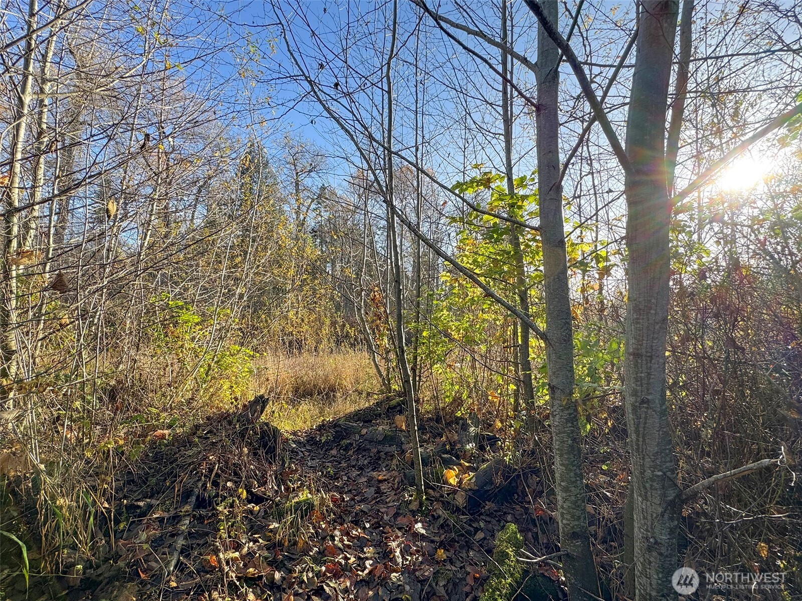 714 Hunt Road Port Angeles, WA 98363 - Photo 27 of 40 a backyard of a building