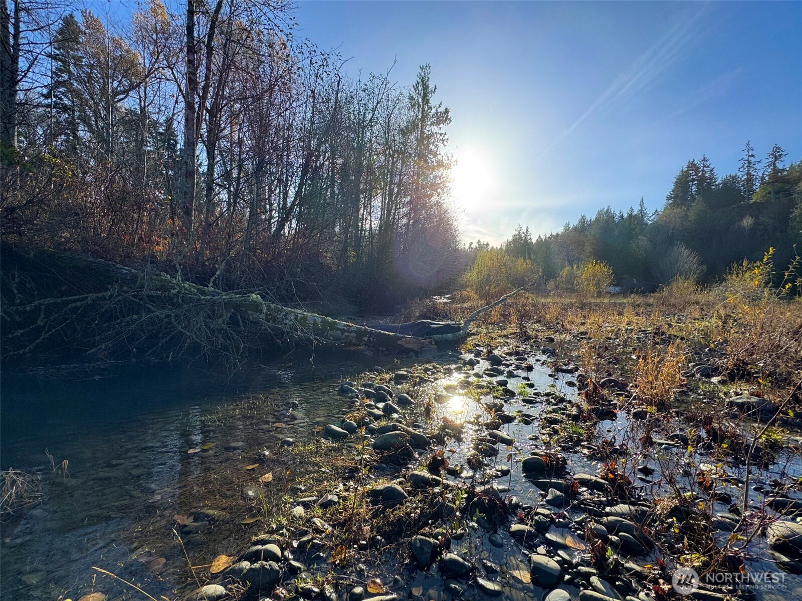 714 Hunt Road Port Angeles, WA 98363 - Photo 29 of 40 a view of a yard with a tree