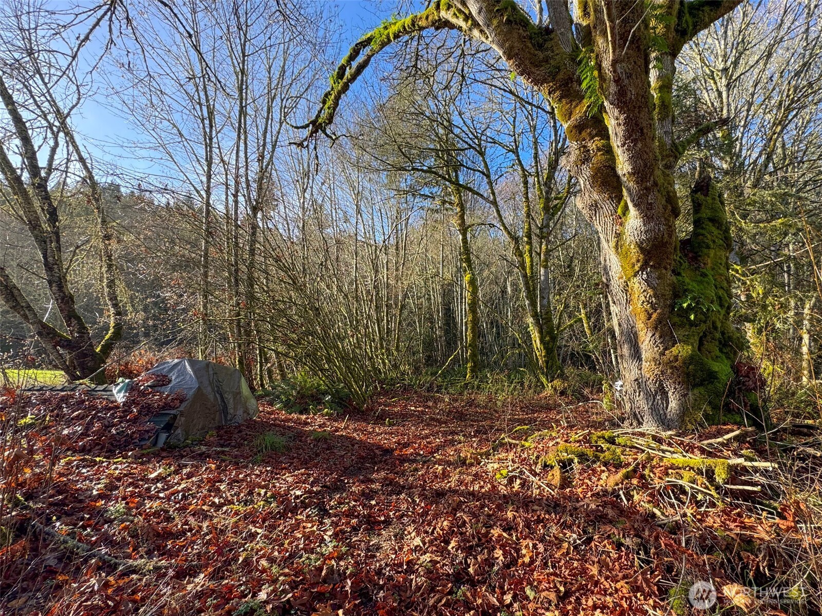 714 Hunt Road Port Angeles, WA 98363 - Photo 33 of 40 a backyard of a house