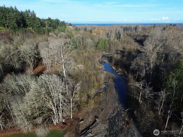 a view of a forest with a forest