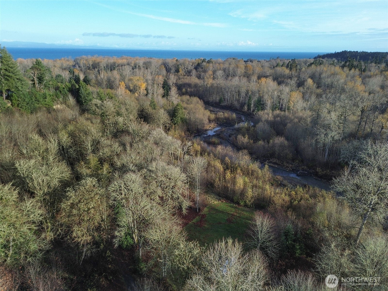 714 Hunt Road Port Angeles, WA 98363 - Photo 39 of 40 a view of a forest with a forest