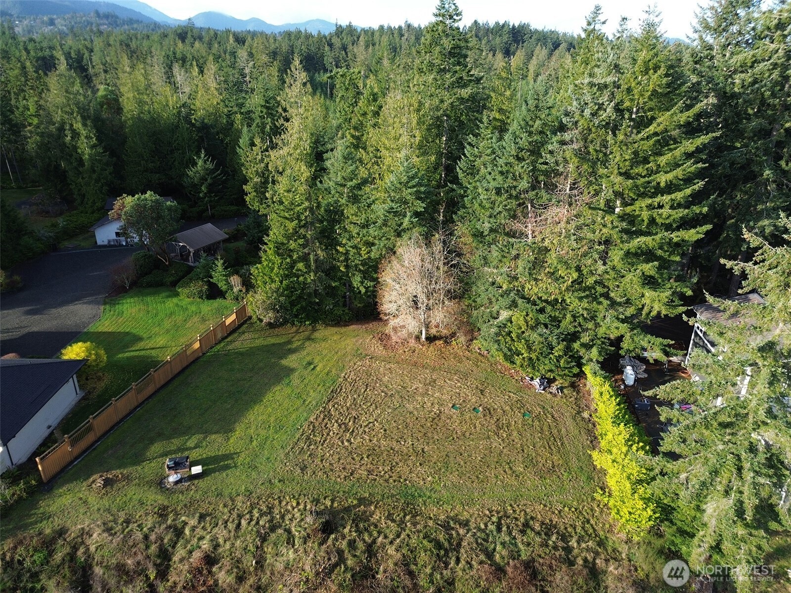 714 Hunt Road Port Angeles, WA 98363 - Photo 4 of 40 a view of a green yard with large trees