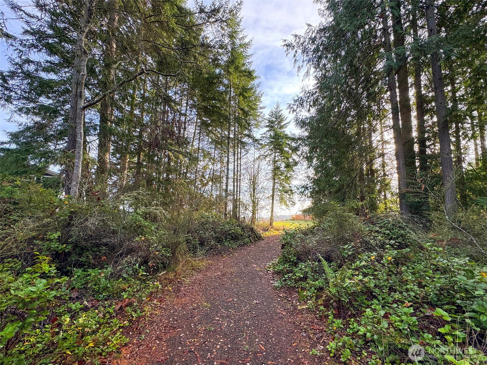 714 Hunt Road Port Angeles, WA 98363 - Photo 5 of 40 a big yard with lots of green space and plants
