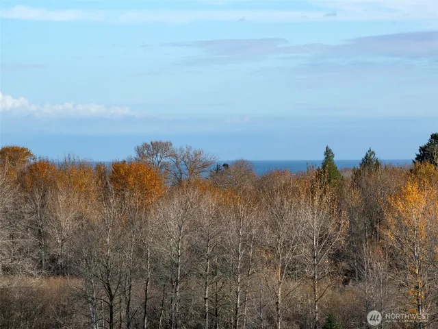 a view of a lake with a mountain