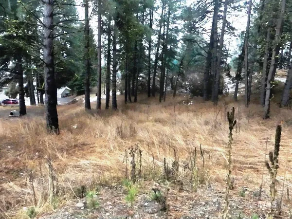 $139,000 | 614 Crawford Avenue, Cascade, ID 83611