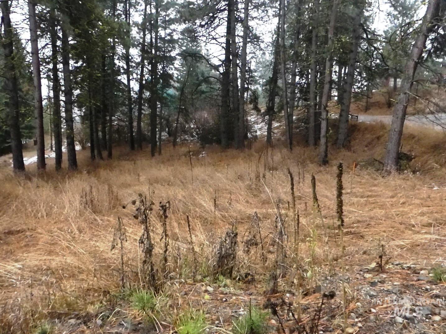 614 Crawford Avenue Cascade, ID 83611 - Photo 3 of 8