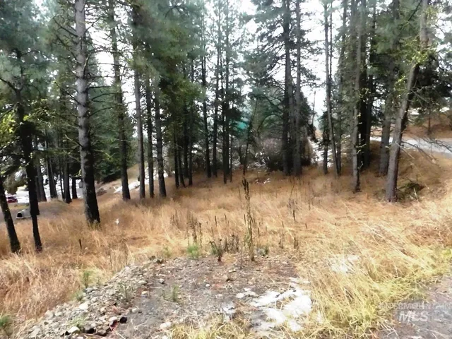 $139,000 | 614 Crawford Avenue, Cascade, ID 83611