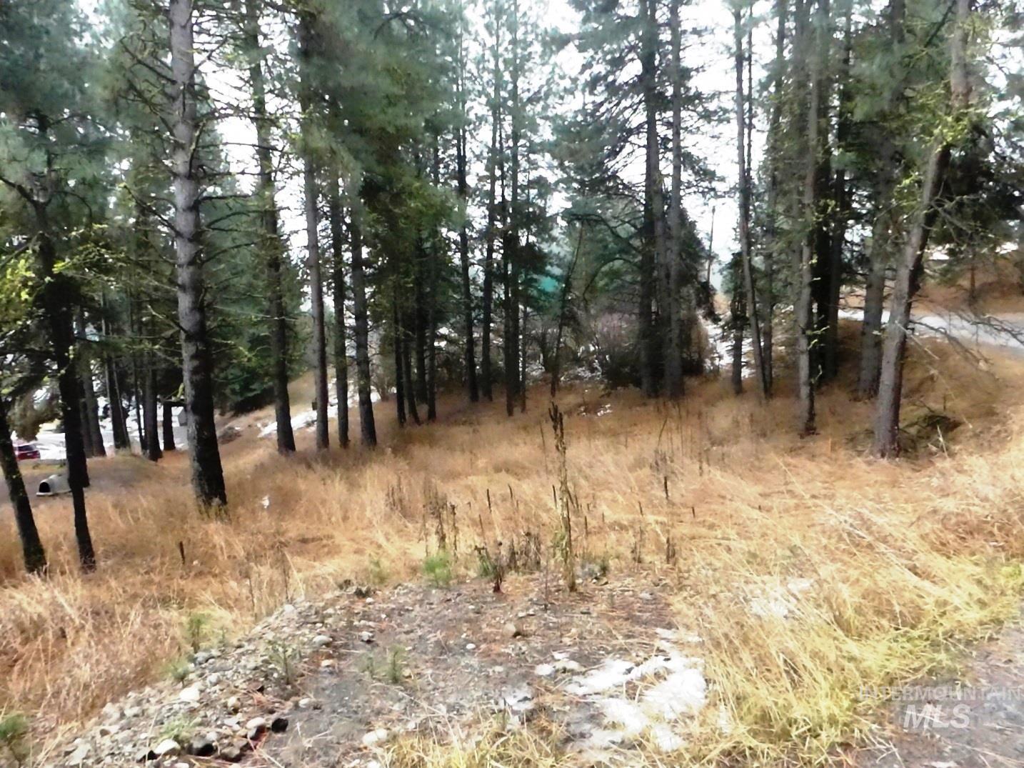 614 Crawford Avenue Cascade, ID 83611 - Photo 5 of 8