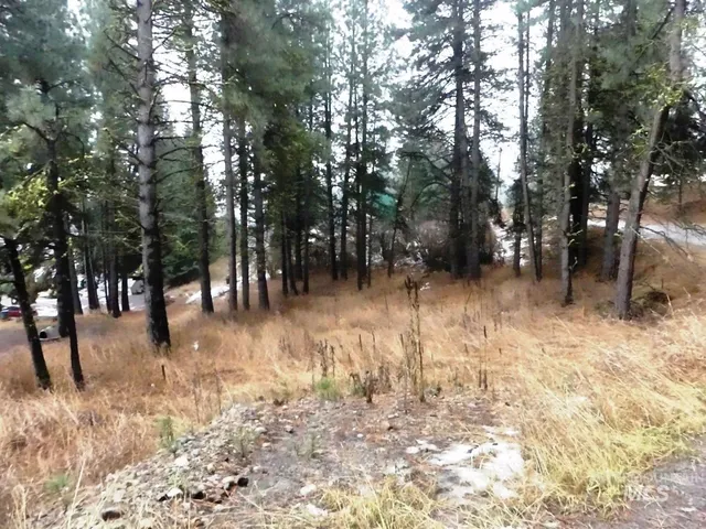 $139,000 | 614 Crawford Avenue, Cascade, ID 83611