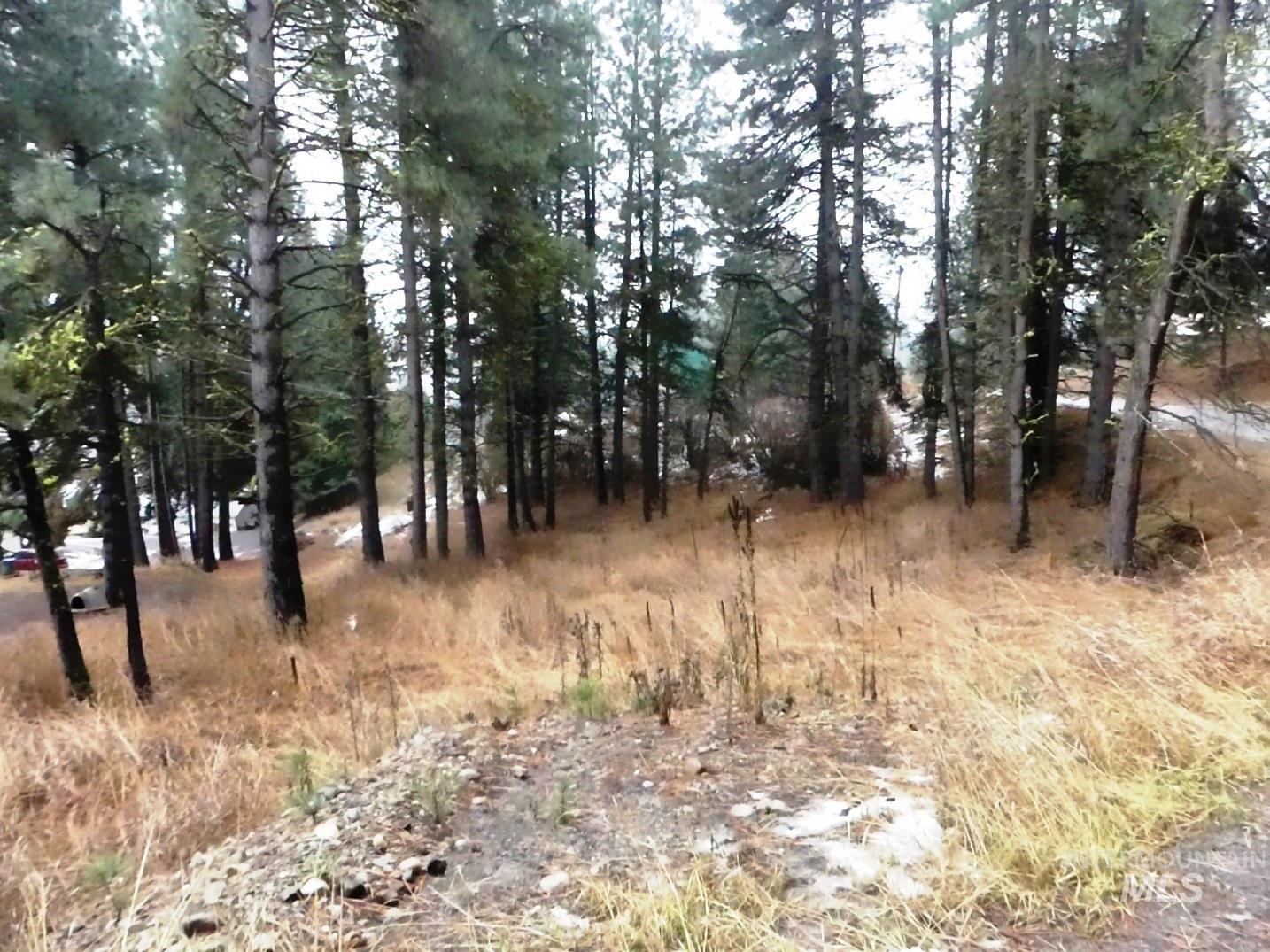 614 Crawford Avenue Cascade, ID 83611 - Photo 6 of 8