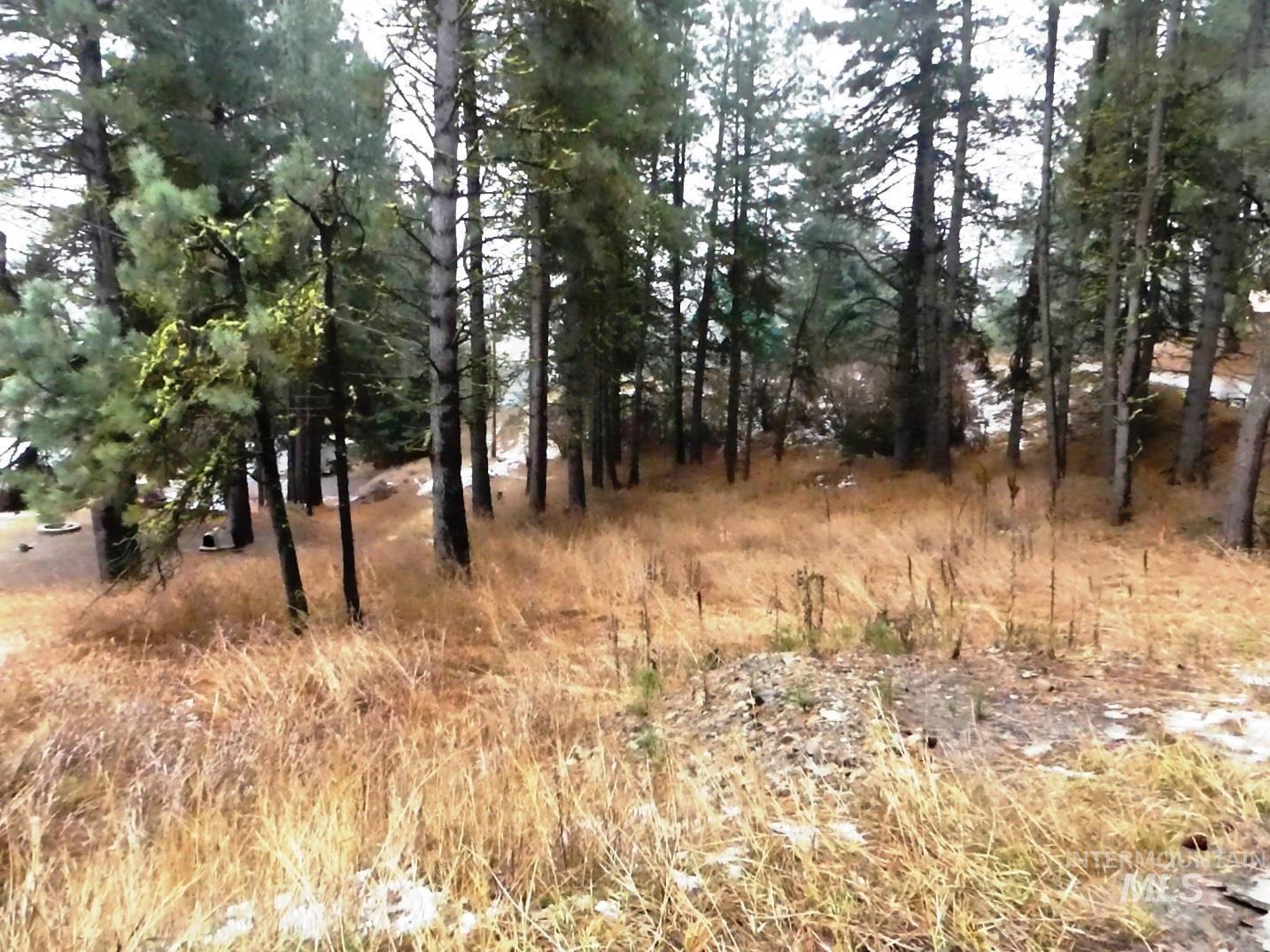 614 Crawford Avenue Cascade, ID 83611 - Photo 7 of 8