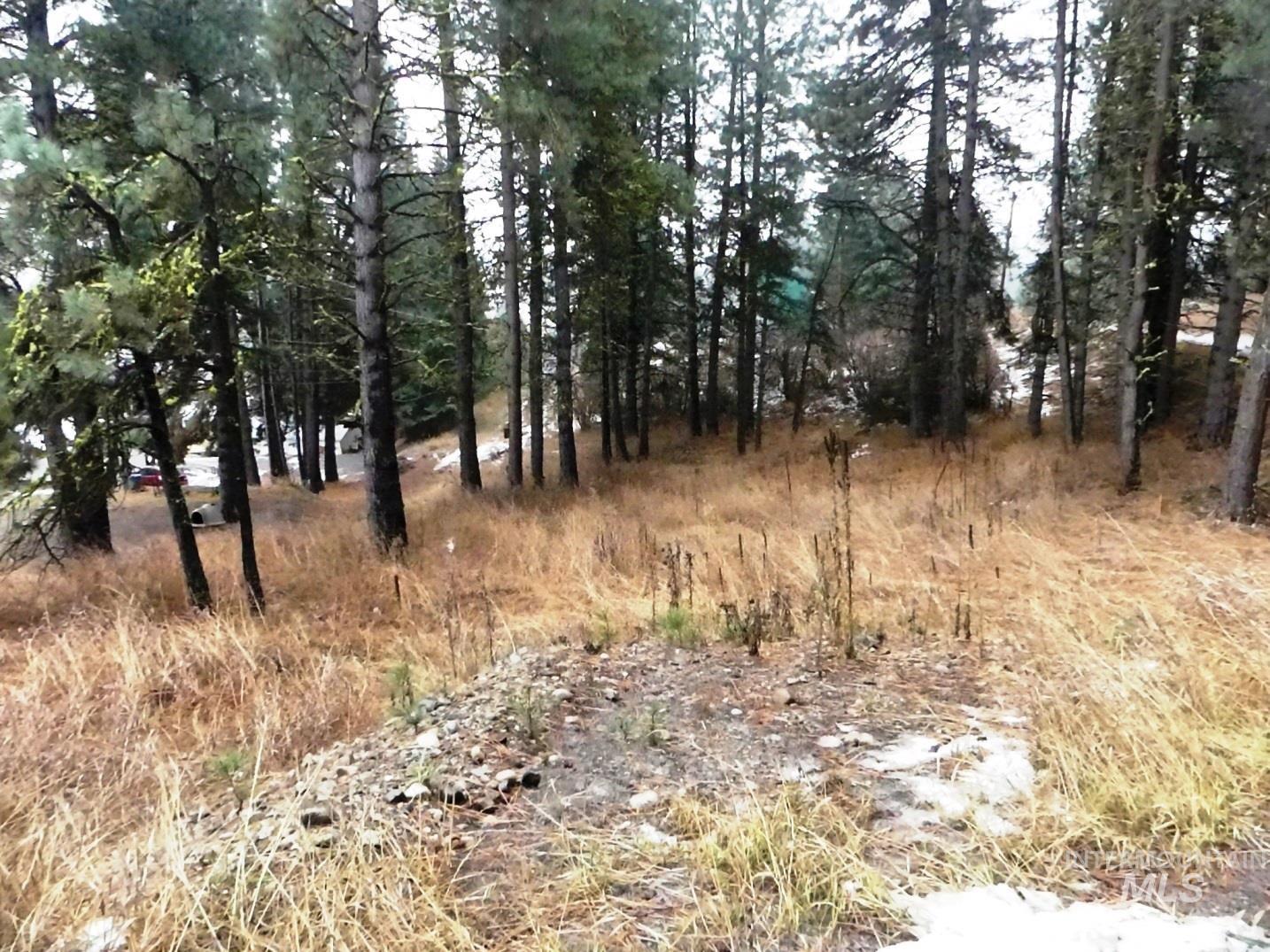 614 Crawford Avenue Cascade, ID 83611 - Photo 8 of 8