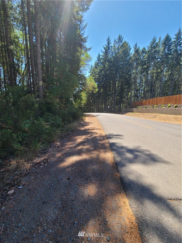 0 Northeast Larson Lake Road Belfair, WA 98528 - Photo 1 of 9 Gallery Image 1