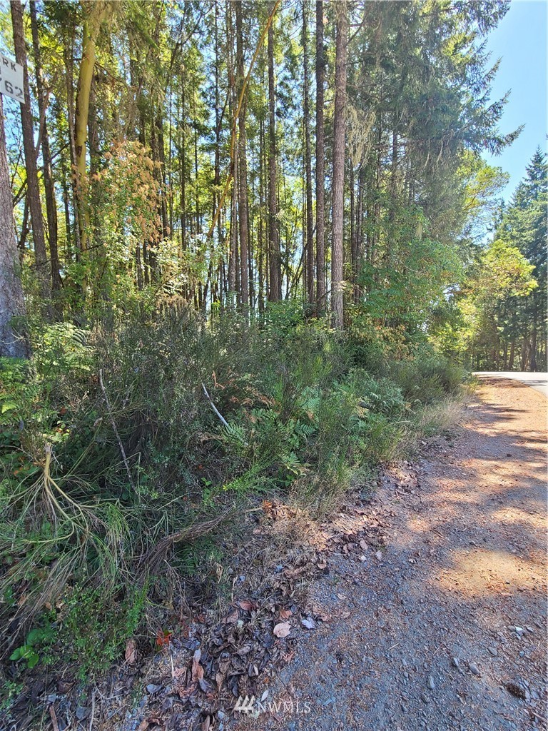 0 Northeast Larson Lake Road Belfair, WA 98528 - Photo 2 of 9 Gallery Image 2