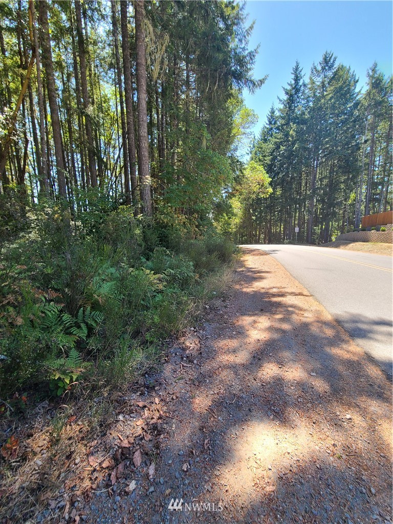 0 Northeast Larson Lake Road Belfair, WA 98528 - Photo 6 of 9 Gallery Image 6