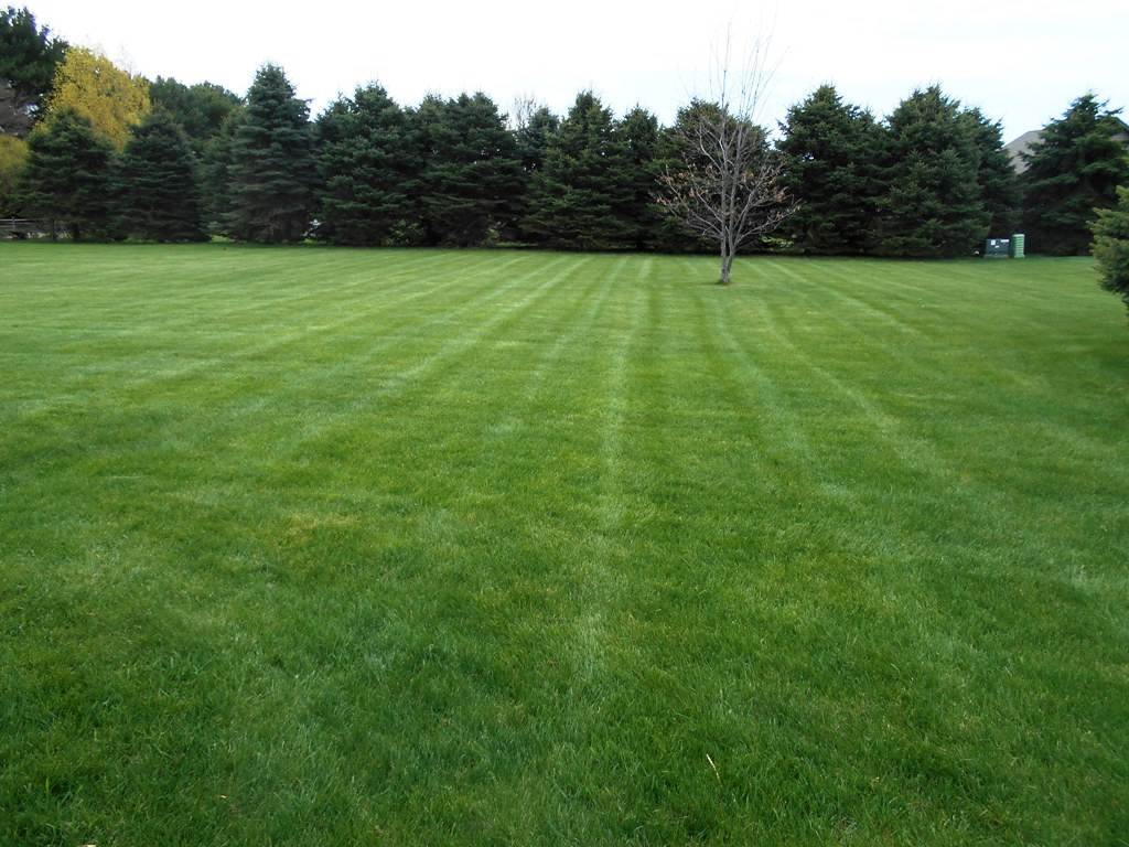 6733 Middle Road South Beloit, IL 61080 - Photo 15 of 19 a view of a green field