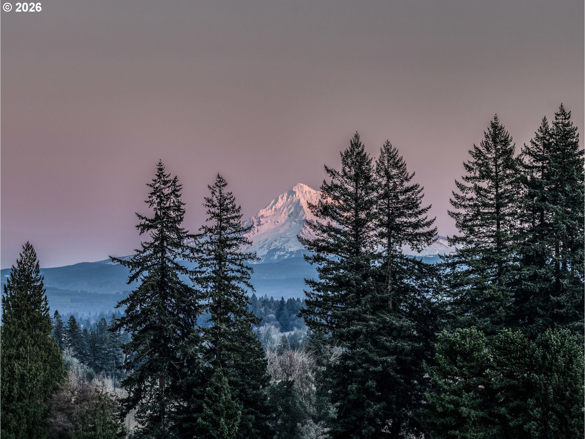 7634 Southeast Hogan Road Gresham, OR 97080 - Photo 25 of 39 Drone View/UAV