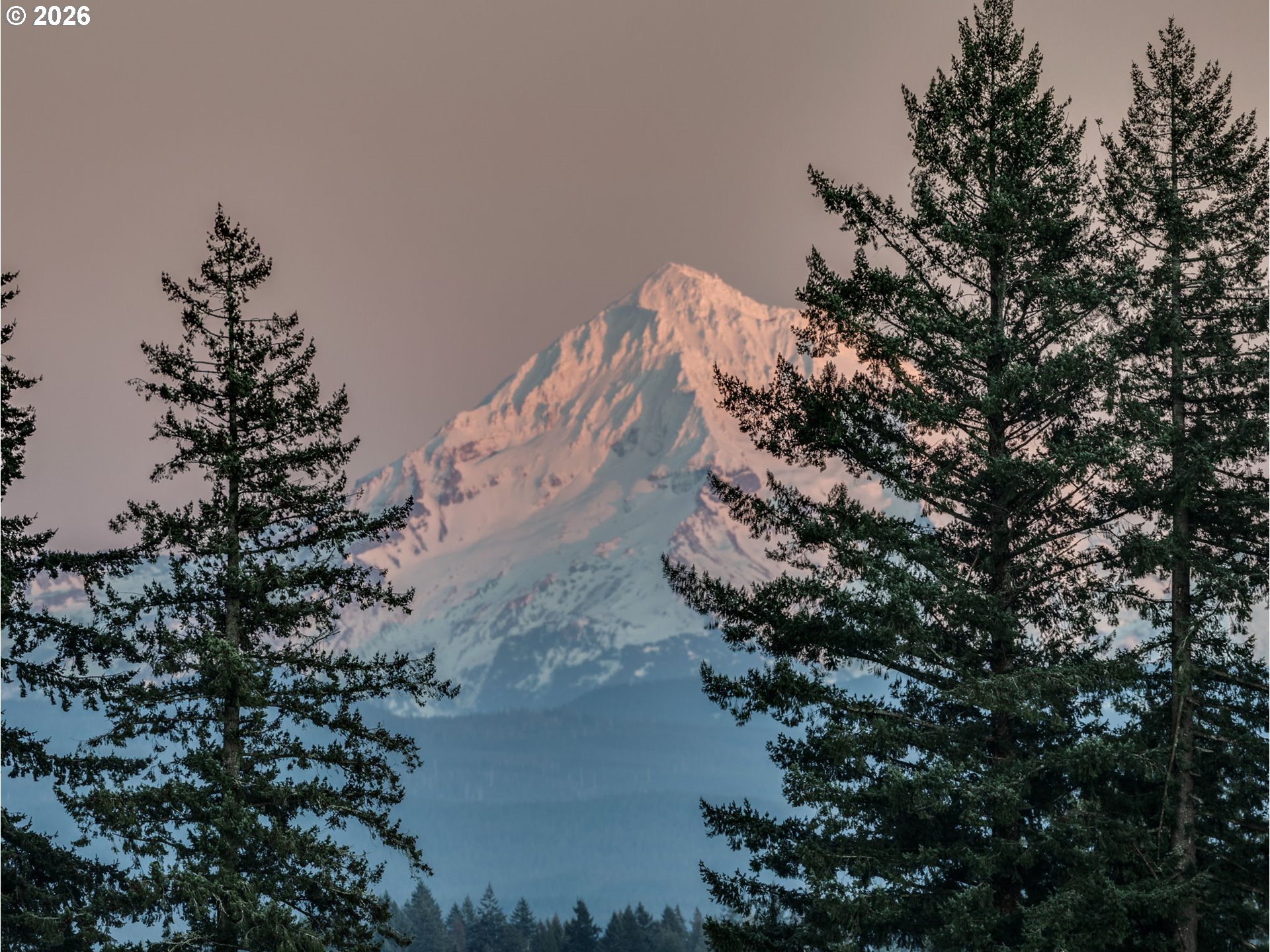 7634 Southeast Hogan Road Gresham, OR 97080 - Photo 10 of 39 Drone View/UAV