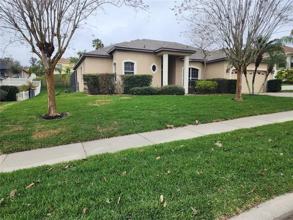 a view of a house with a big yard plants and large trees