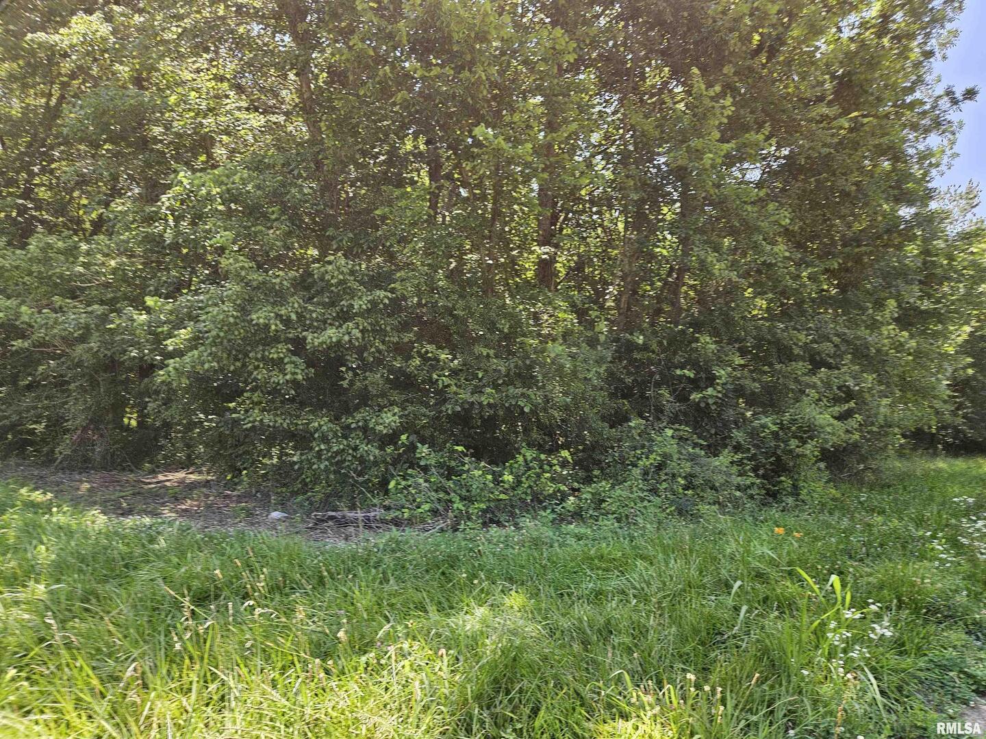 0 South 51st Road South Pulaski, IL 62976 - Photo 2 of 9 a view of a yard with a tree