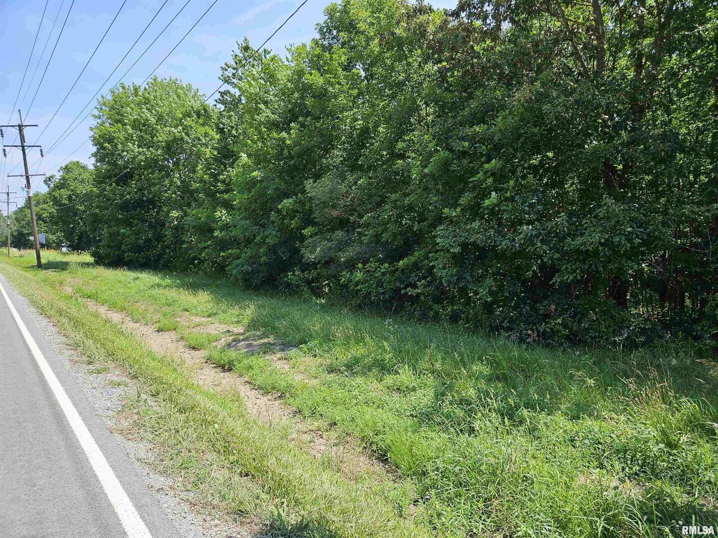 0 South 51st Road South Pulaski, IL 62976 - Photo 3 of 9 a view of a lush green space