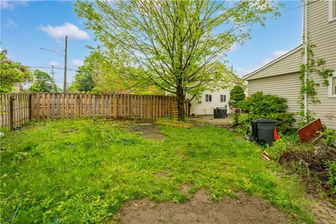 a view of a garden with plants and large tree
