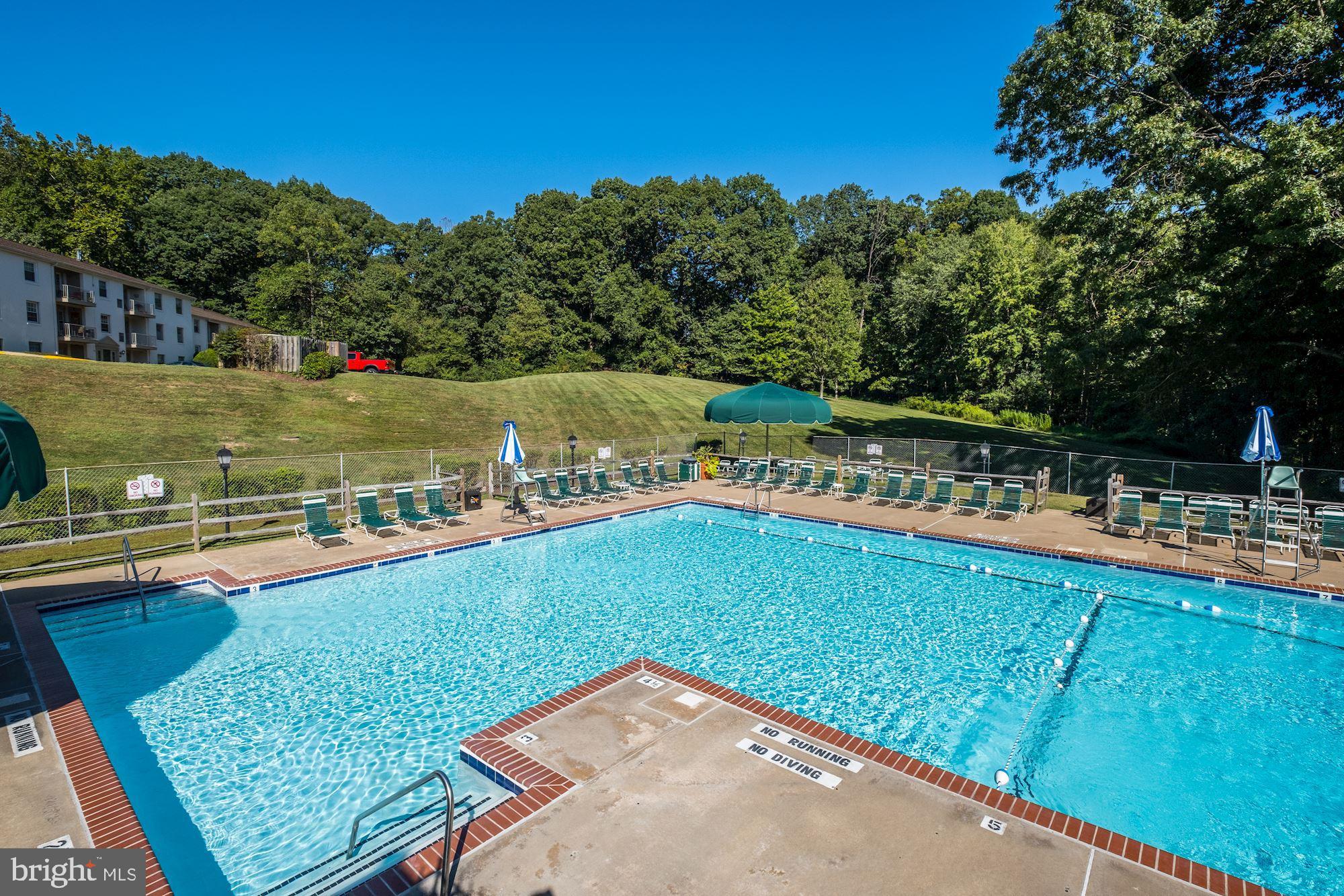 5902 Kingsford Road Springfield, VA 22152 - Photo 9 of 19 Prince James Pool