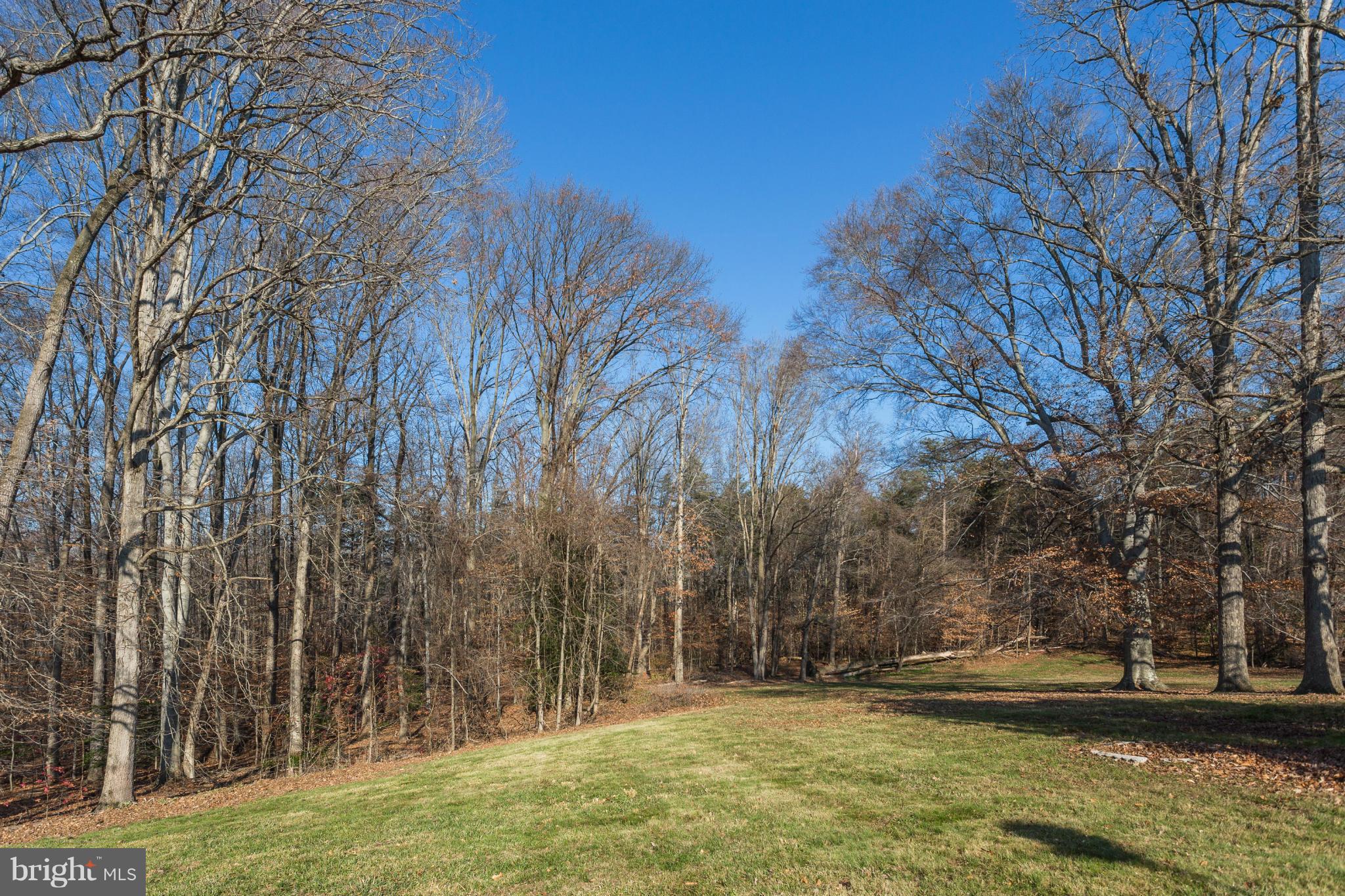 6108 Buckler Road Clinton, MD 20735 - Photo 4 of 24 View
