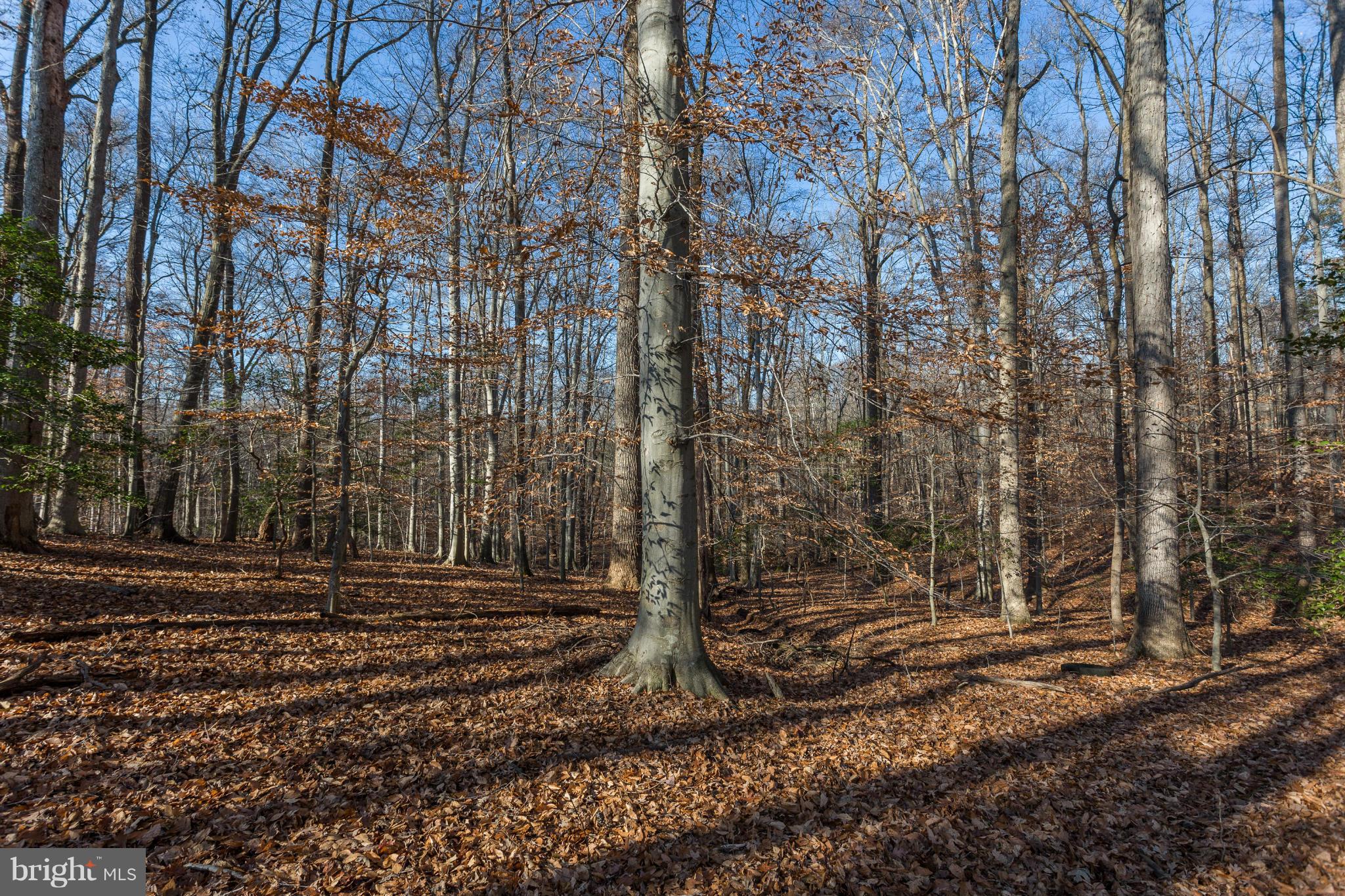 6108 Buckler Road Clinton, MD 20735 - Photo 6 of 24 View
