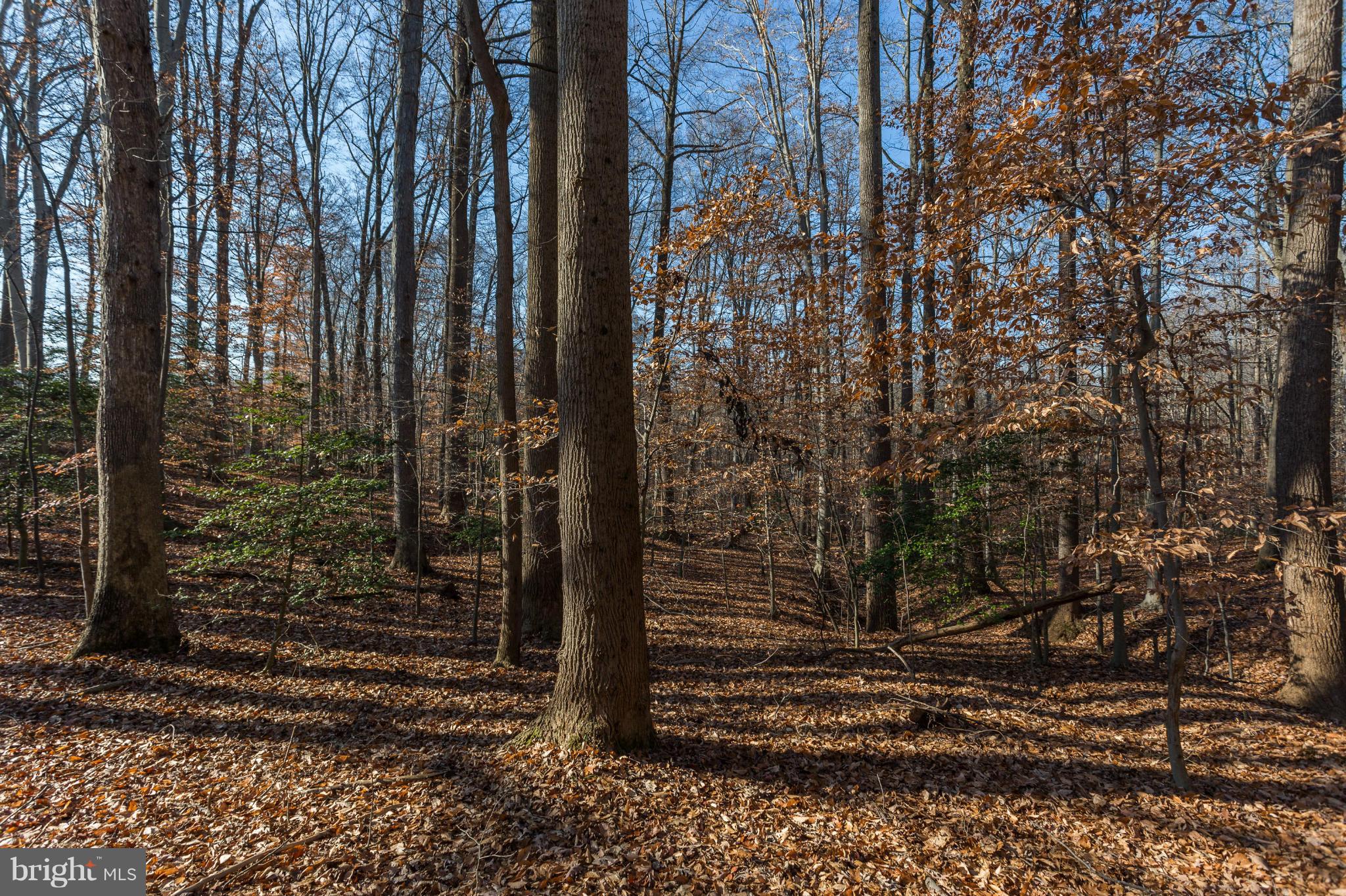 6108 Buckler Road Clinton, MD 20735 - Photo 7 of 24 View