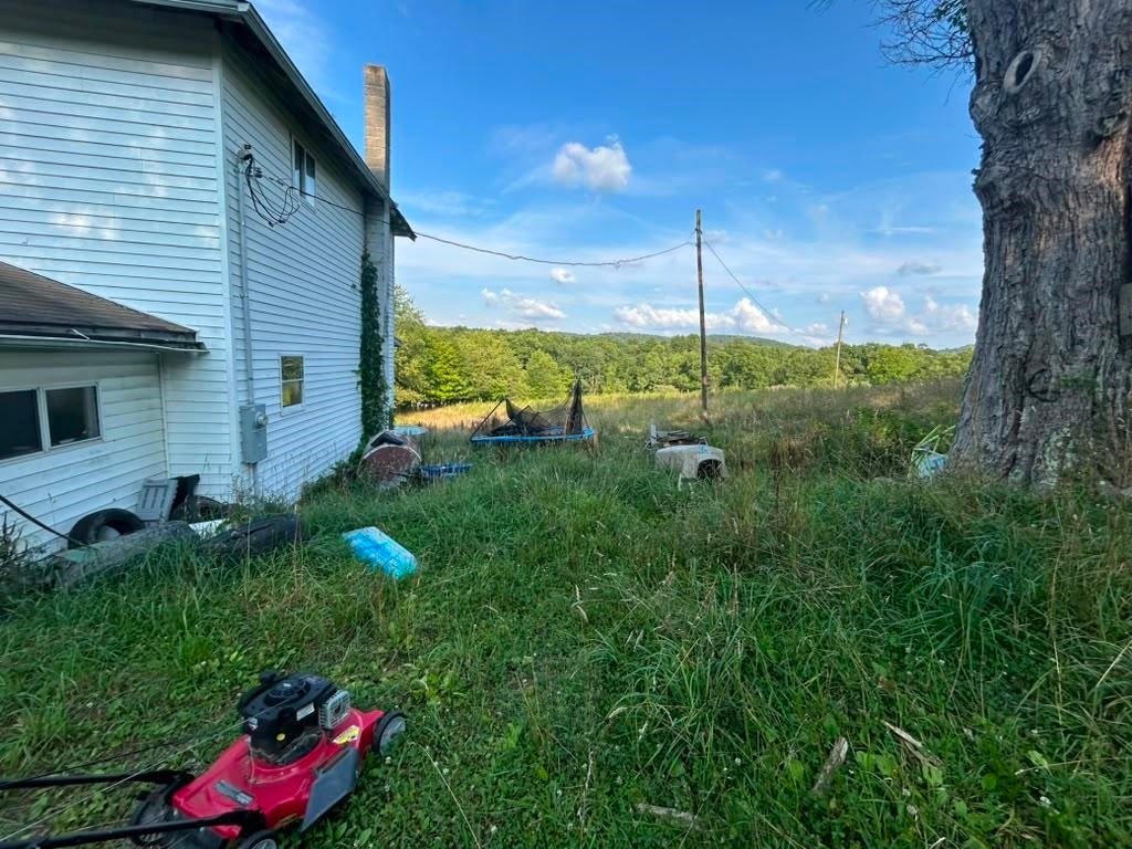 39 Mount Nebo Road Albright, WV 26519 - Photo 26 of 30 Gallery Image 26