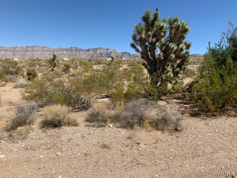 30160 Haystack Drive Meadview, AZ 86444 - Photo 2 of 8