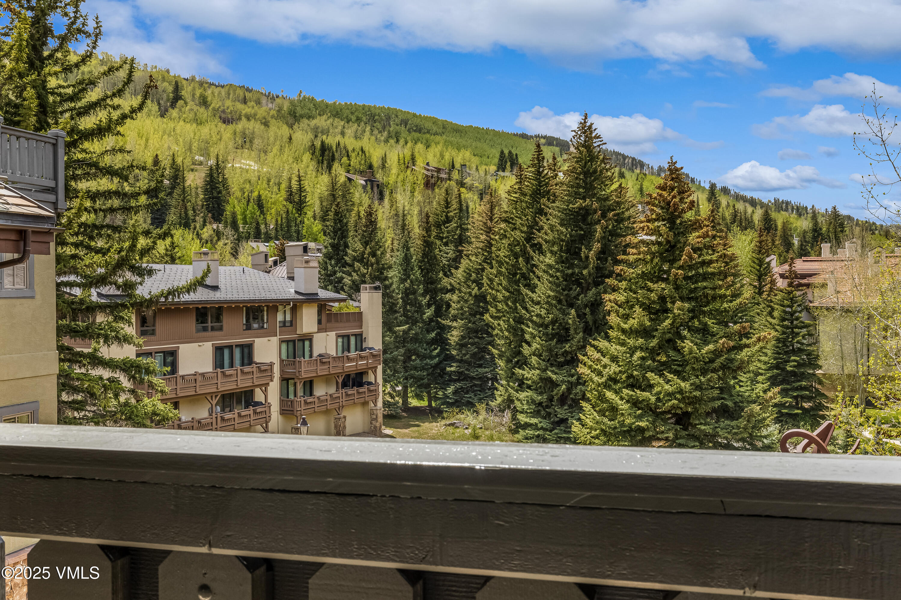 1 Willow Bridge Road, Unit 36 Vail, CO 81657 - Photo 20 of 33 138A6419_1